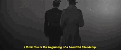 friendship gif|beginning of a friendship gif.